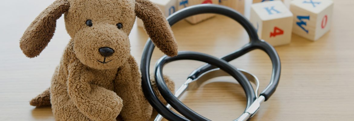 home-image-bear